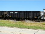 NS 145621 is new to RRPA!